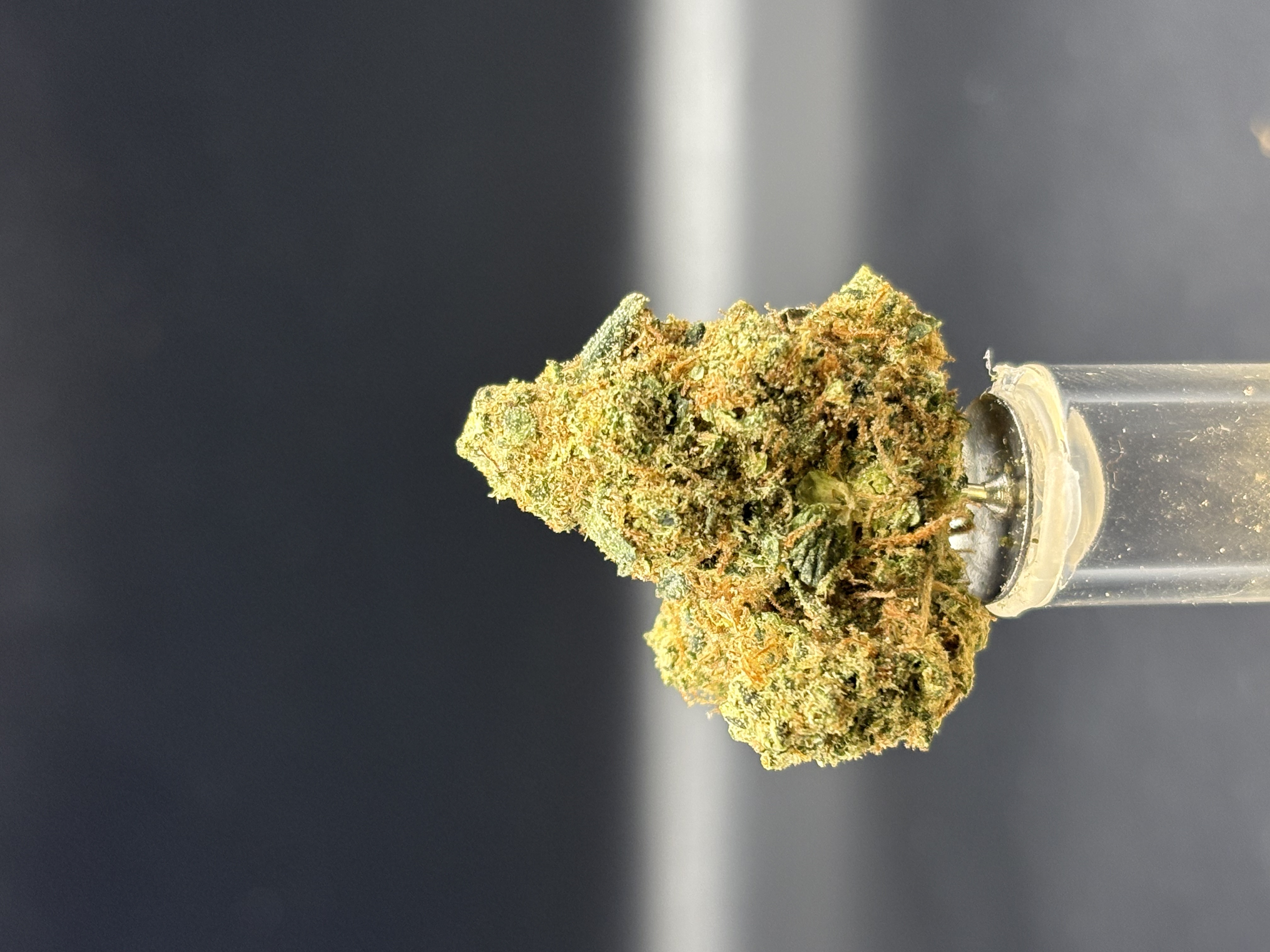 Gold Deli - Orangesicle