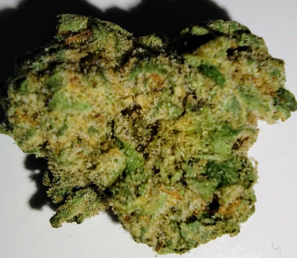 Animal Tsunami - 3.5g - Flower