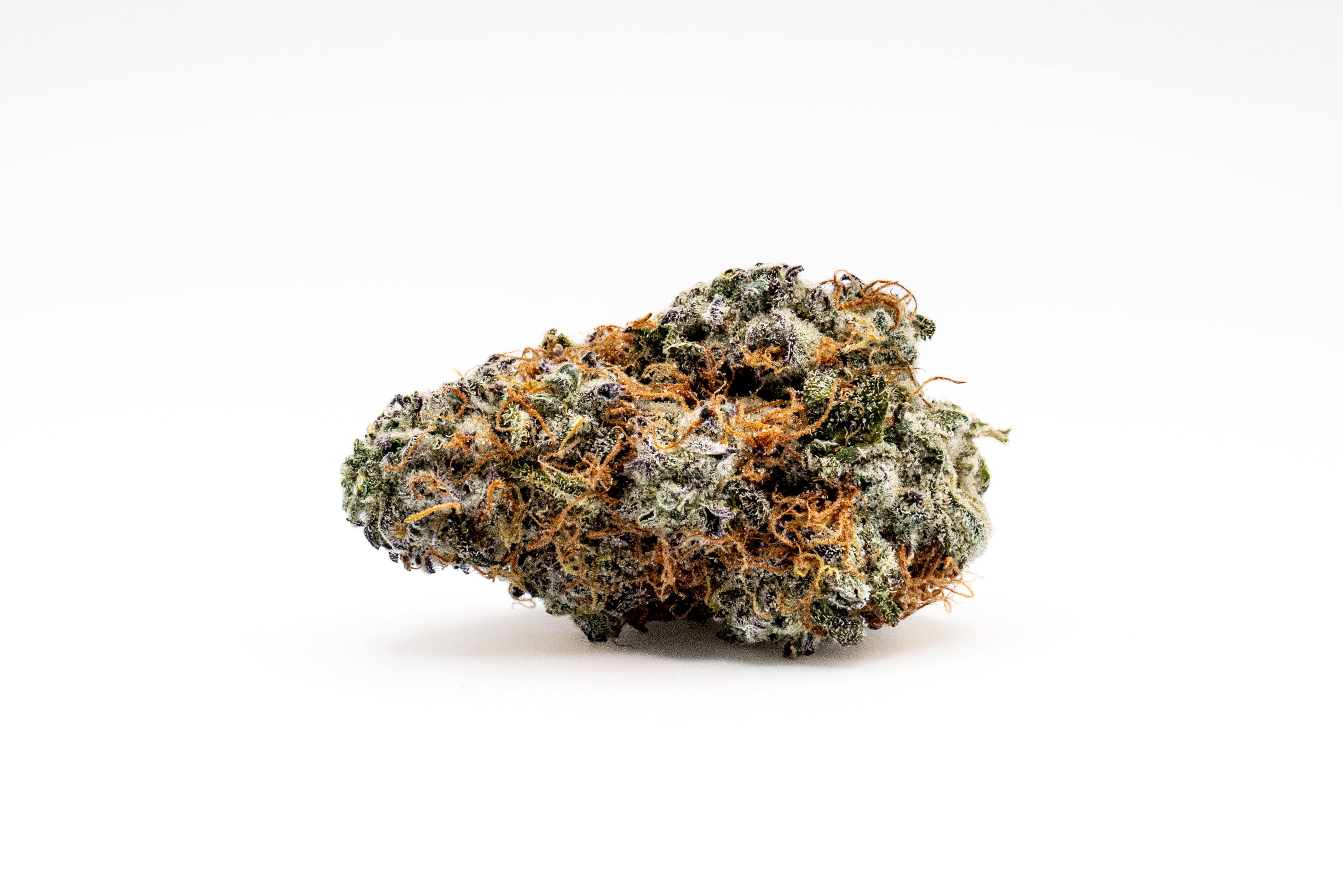 Mind Melt: Flower