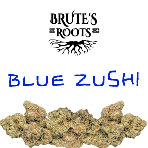 Flower - Blue Zushi - Brute's Roots - MED - 28g in Paulsboro
