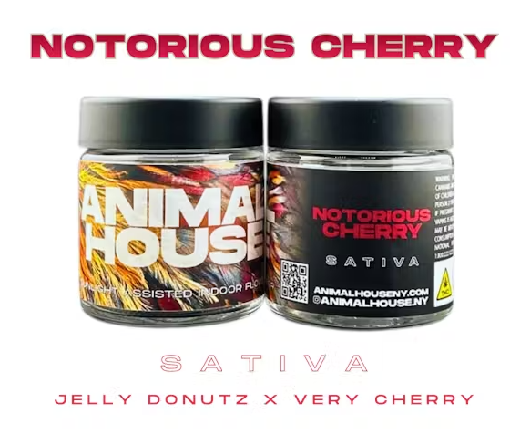 Animal House | Flower | Notorious Cherry