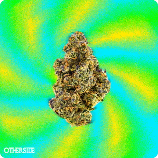 Slurricane - Indica - Premium Flower