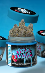 Traditional Spray Paint Indica Flower