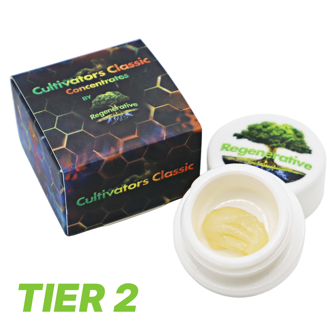 Head Doctor Live Badder