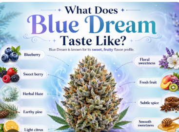 Blue Dream Buds