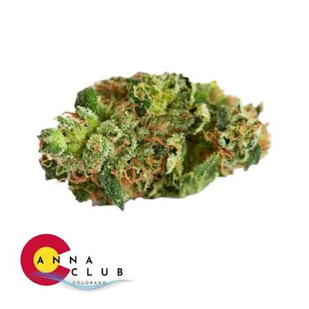 Canna Club - - Bulk Flower - Tribe Walker [I] <Popcorn>