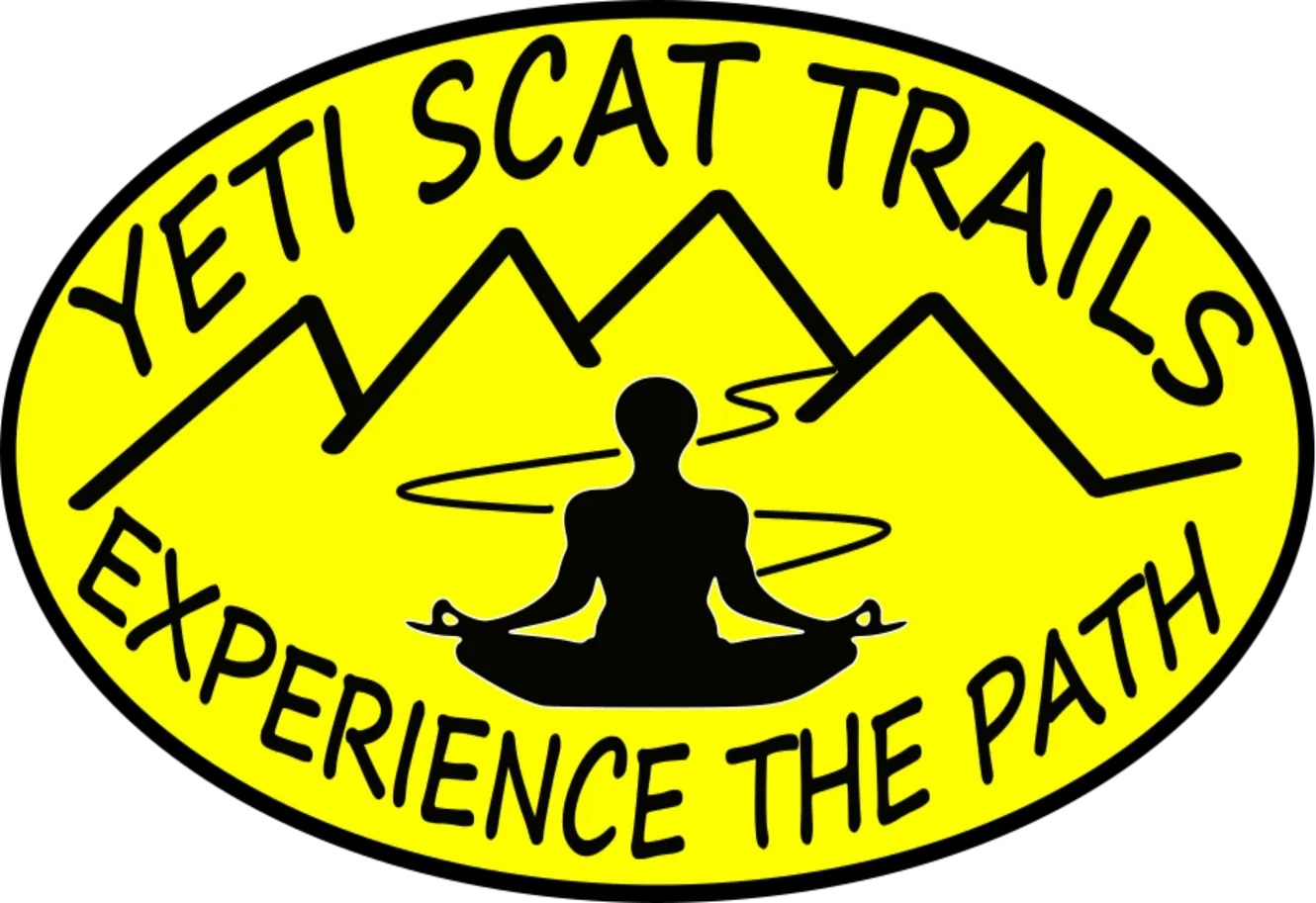 GMO La Boof Pathfinder Gold Nepalese Hash Infused Preroll