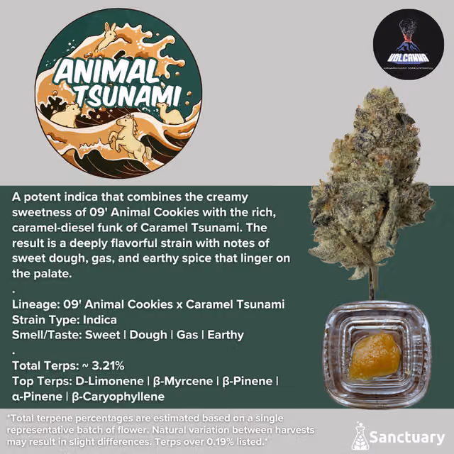 Animal Tsunami Sauce product photo