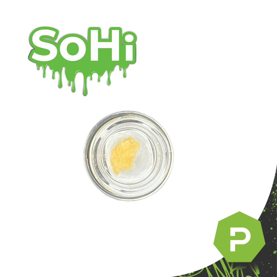 Resin Sugar Sauce Garlic Butter