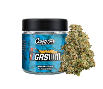 Gascotti [H] - Prepack