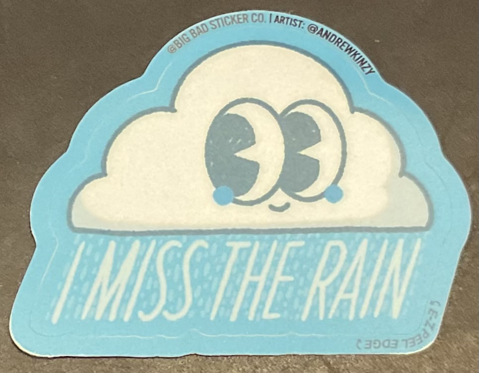 Miss The Rain