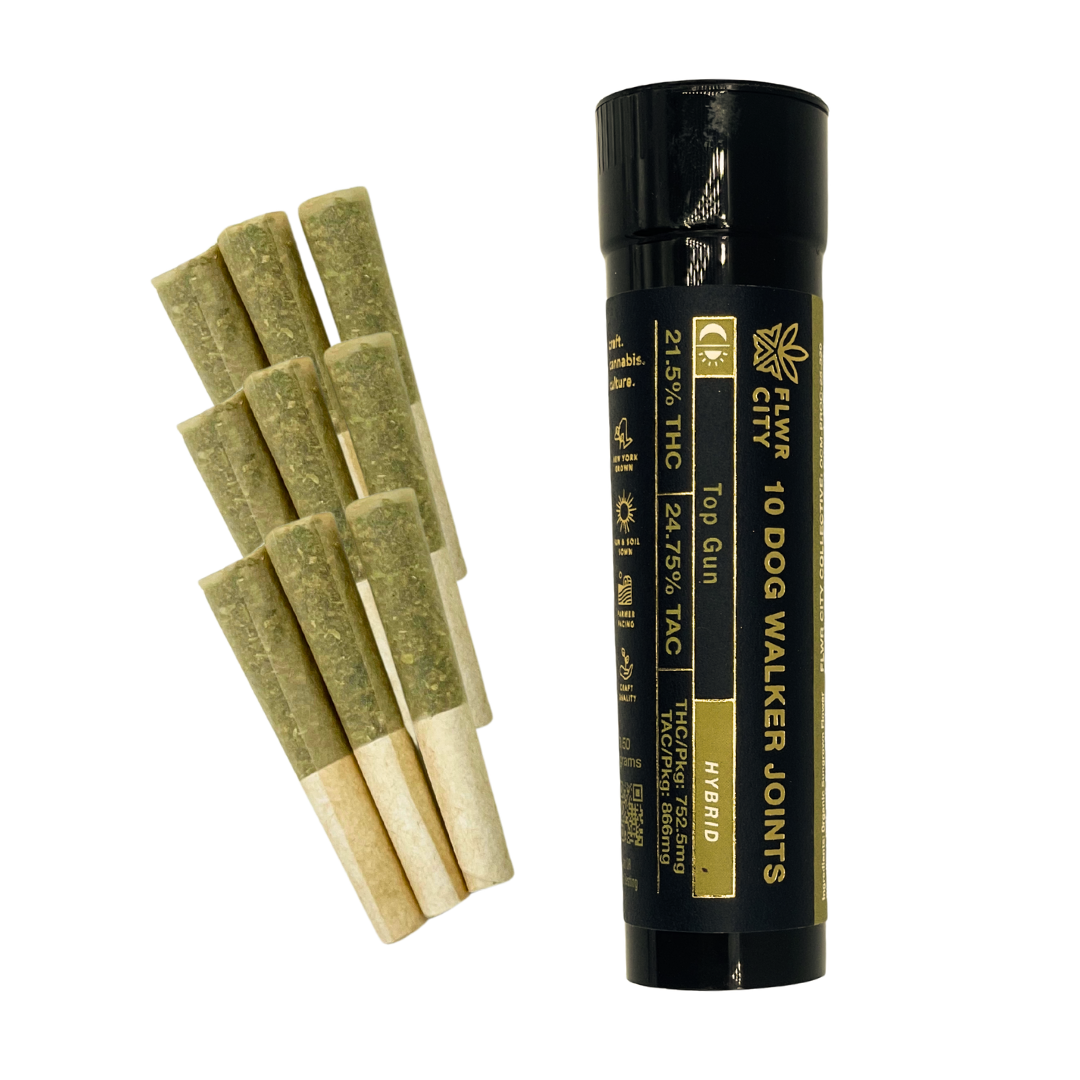 Top Gun 10pk Dogwalkers .35g