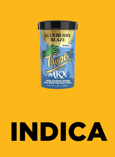 Blueberry Blaze | Infused Baby Pre-rolls | 0.5g x 5 | Indica