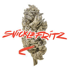 Rotating Indica - 7g