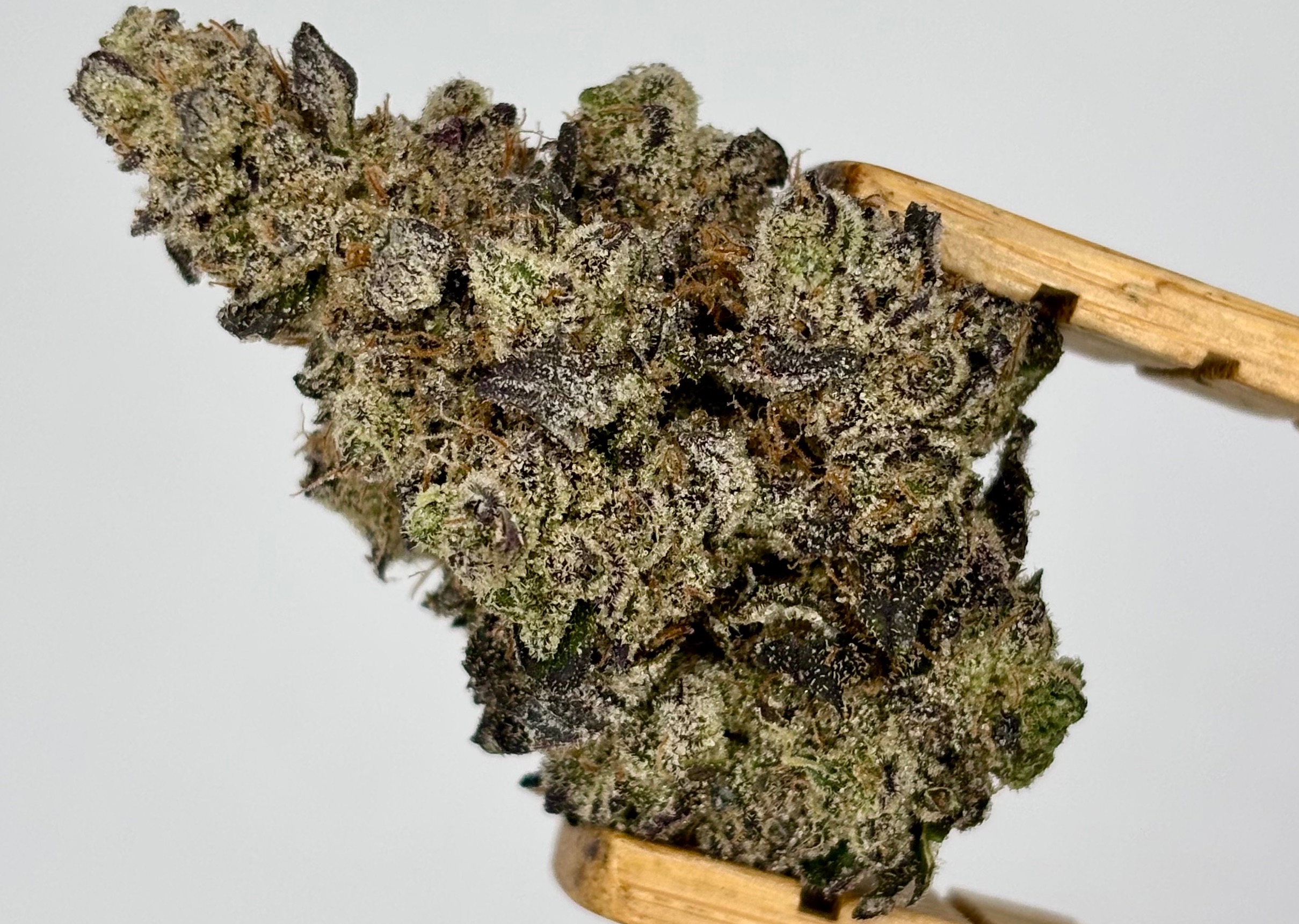 Classic Roots | Donny Double | Bulk Flower | Purple Tier