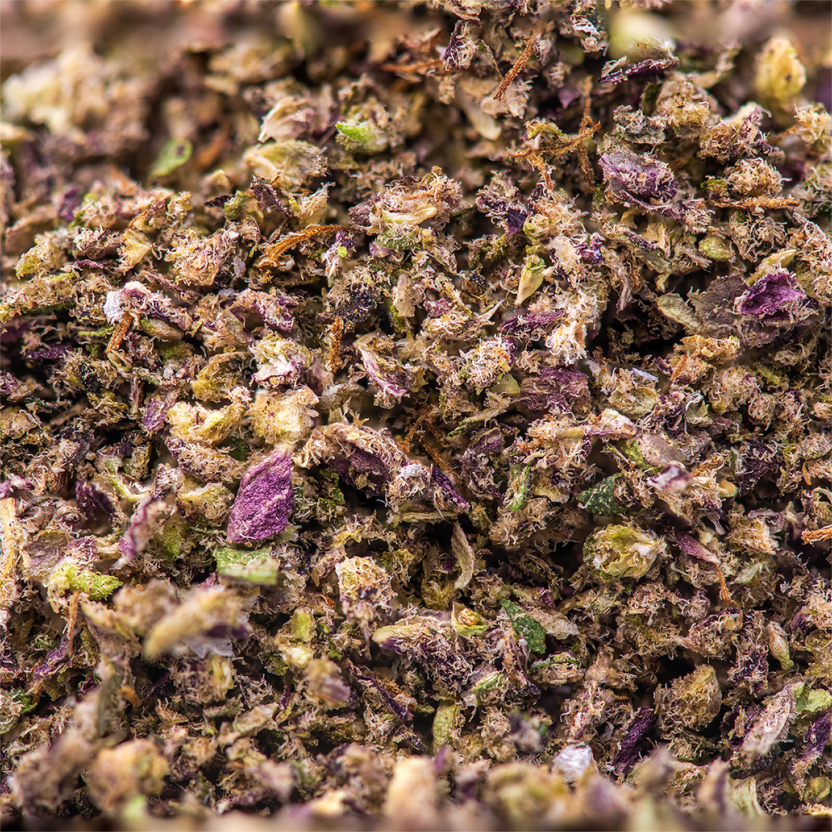 D Sailor Infused Pre-Ground | Flower | 3.5g