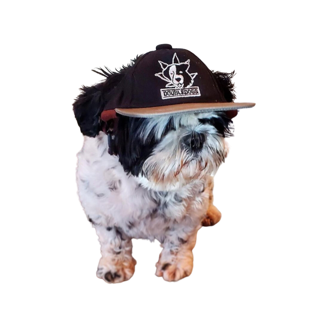 Dog Hat