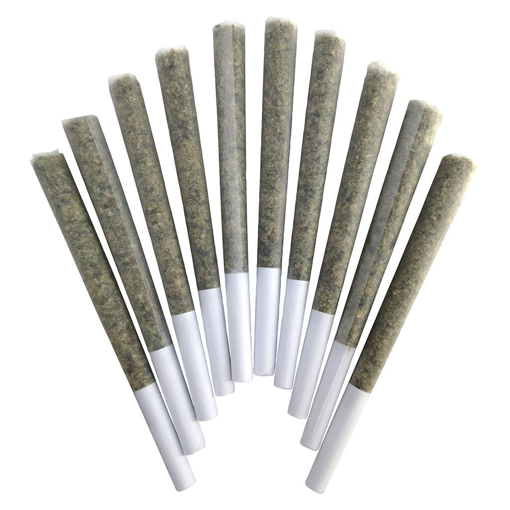 BC Doobies - Blue Maui Pre-Roll - Sativa - 10x0.5g - 2.4% Terps!