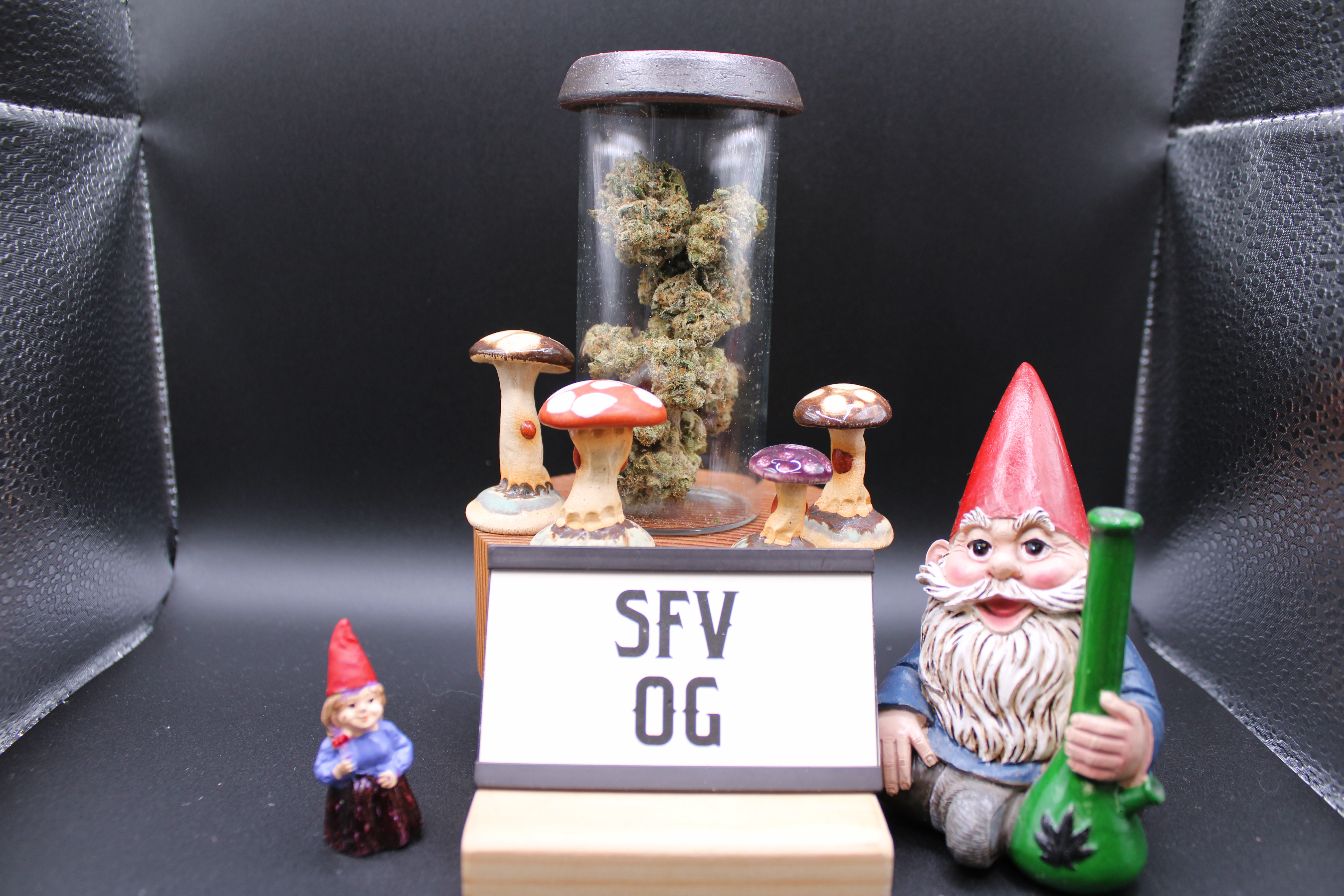 SFV OG
