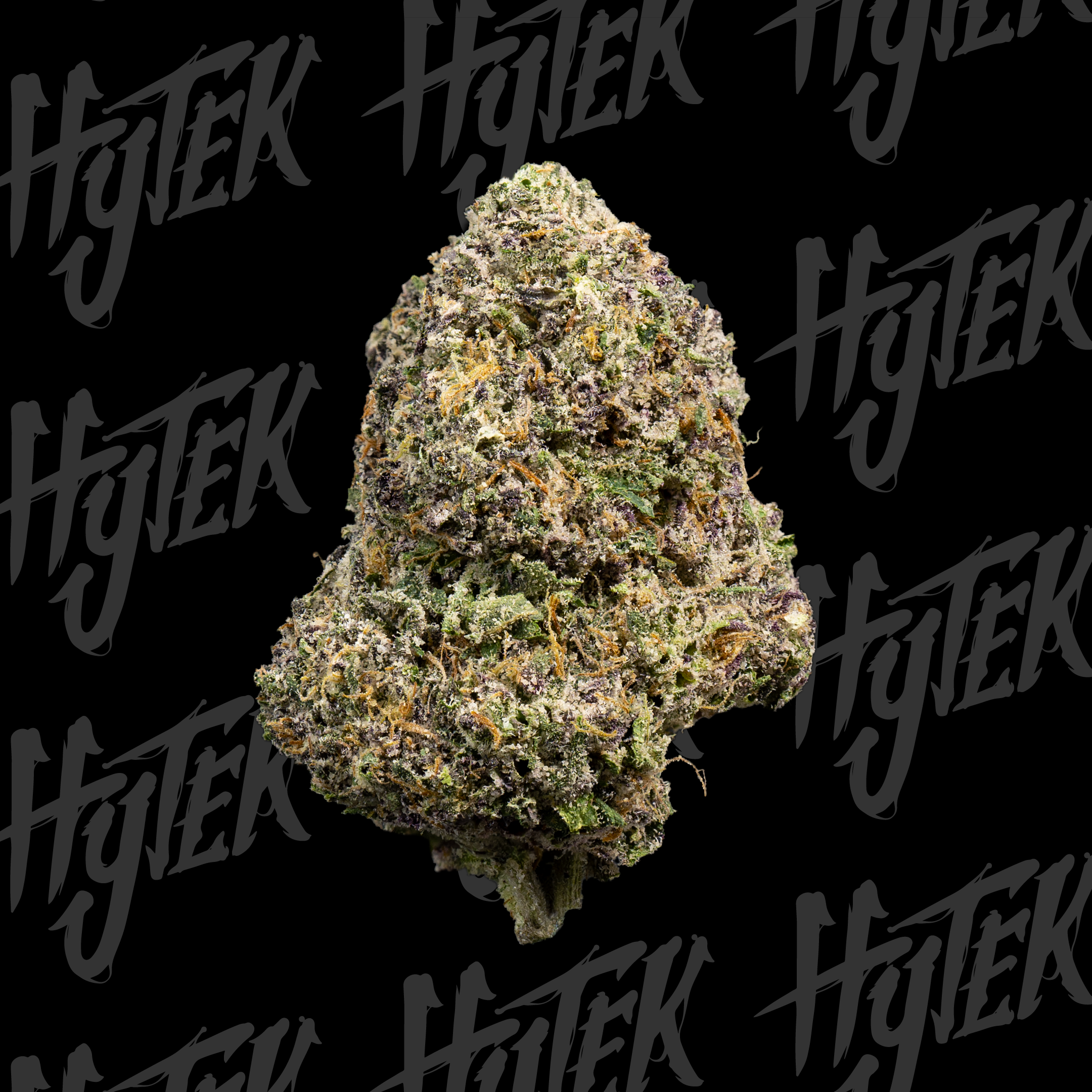 LANTZ | BULK DELI FLOWER