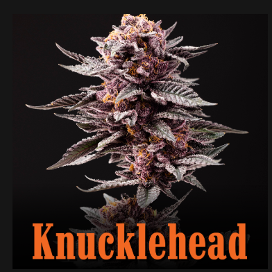 Knucklehead - Negroni - 7g Mixed Nugs