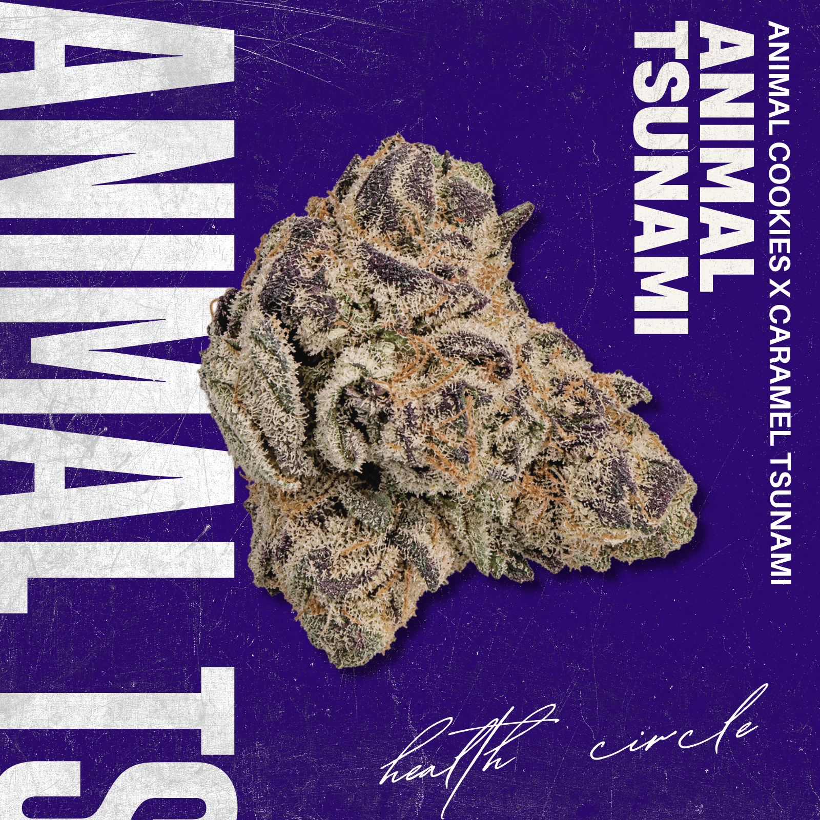 3.5g | Animal Tsunami | Health Circle