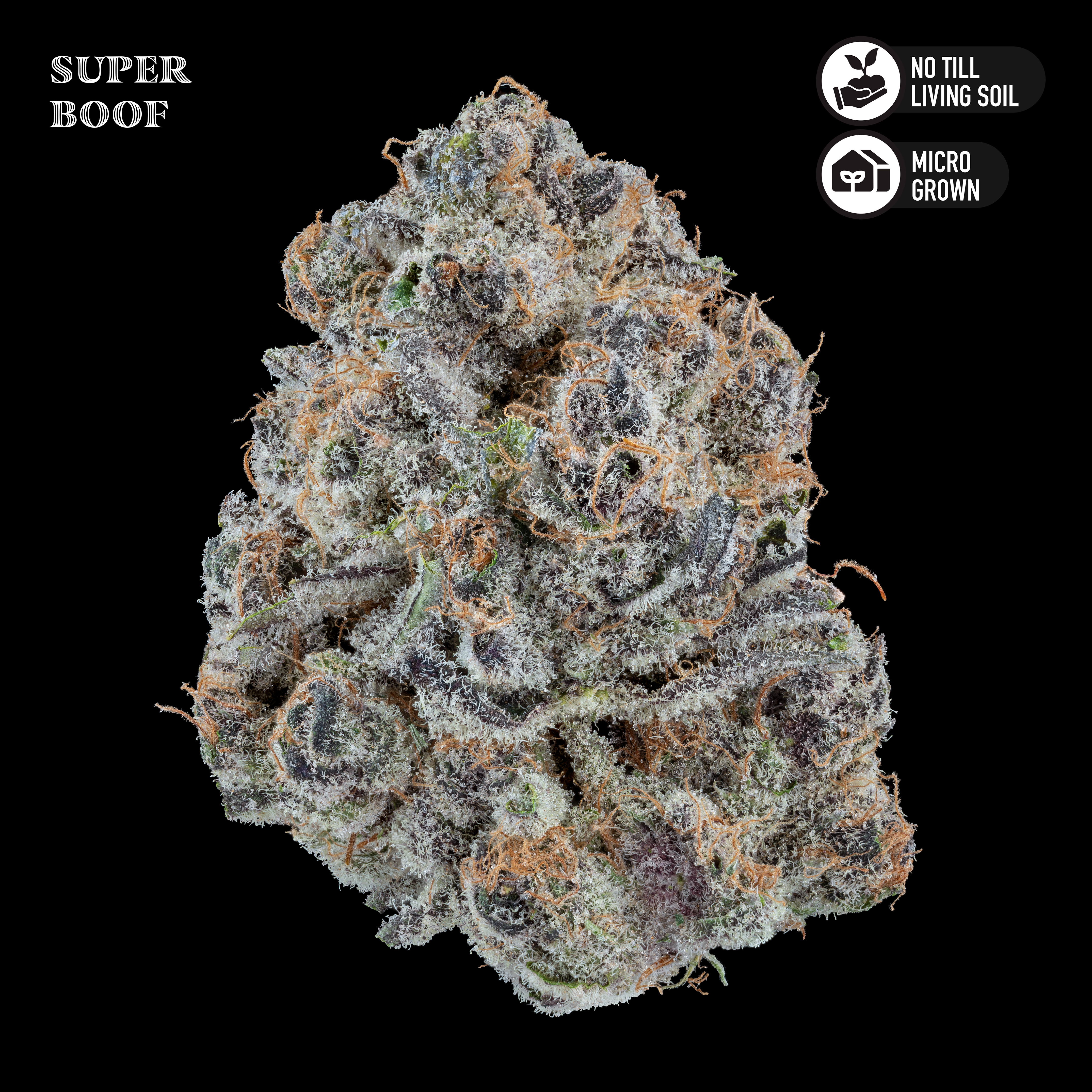 Super Boof 3.5G Flower Jar
