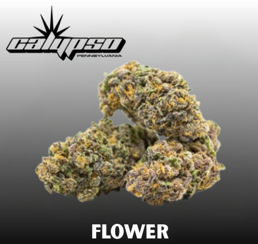 Grapesy-Whoa | Small Flower | 14g