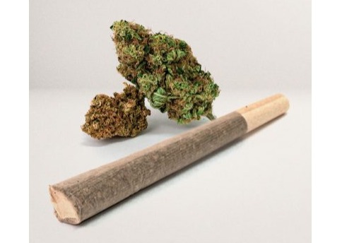 Roadie - Pre-roll 1g - Forbidden Cheetah Piss - Hybrid