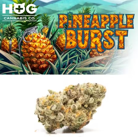 Pineapple Burst 3.5g