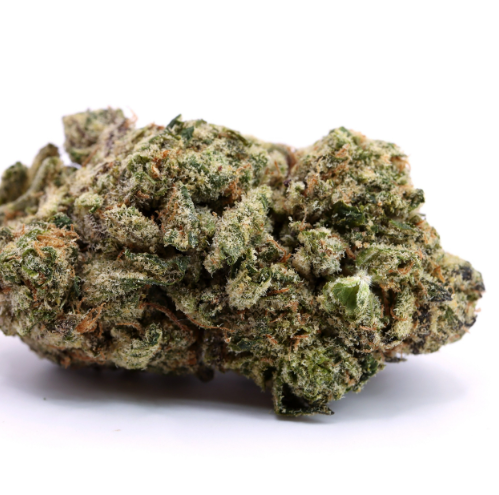 Motor Breath 15