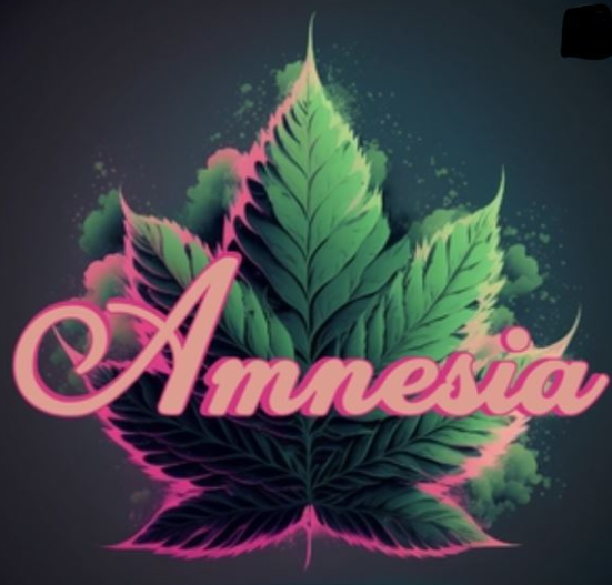 Amnesia: Dirty Shirley 1.3G Bubble Hash Preroll