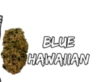 5BORO | Blue Hawaiian | Sativa | Dimebag