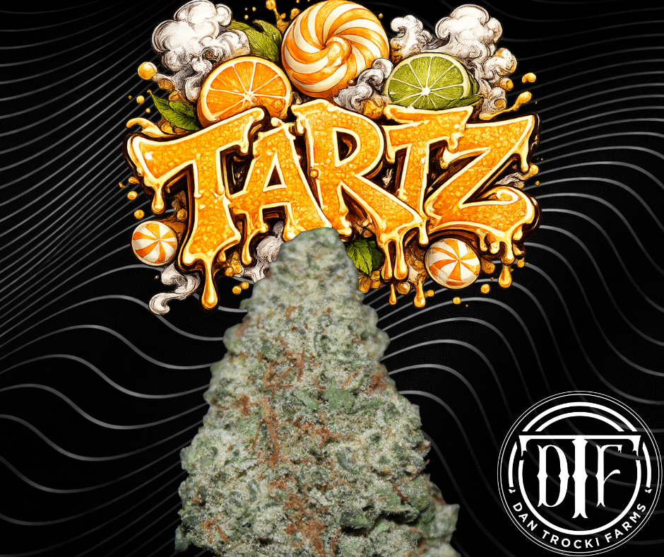 Dan Trocki Farms | Tartz | Flower | 3.5 g