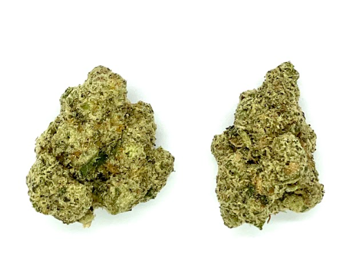 Shake | GMO