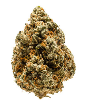 Boom Box - Treble Maker Flower - Sativa