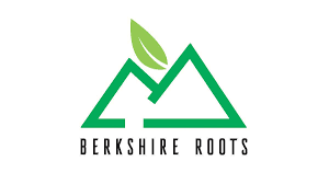 Berkshire Roots - Orange Chemeleon Flower product photo