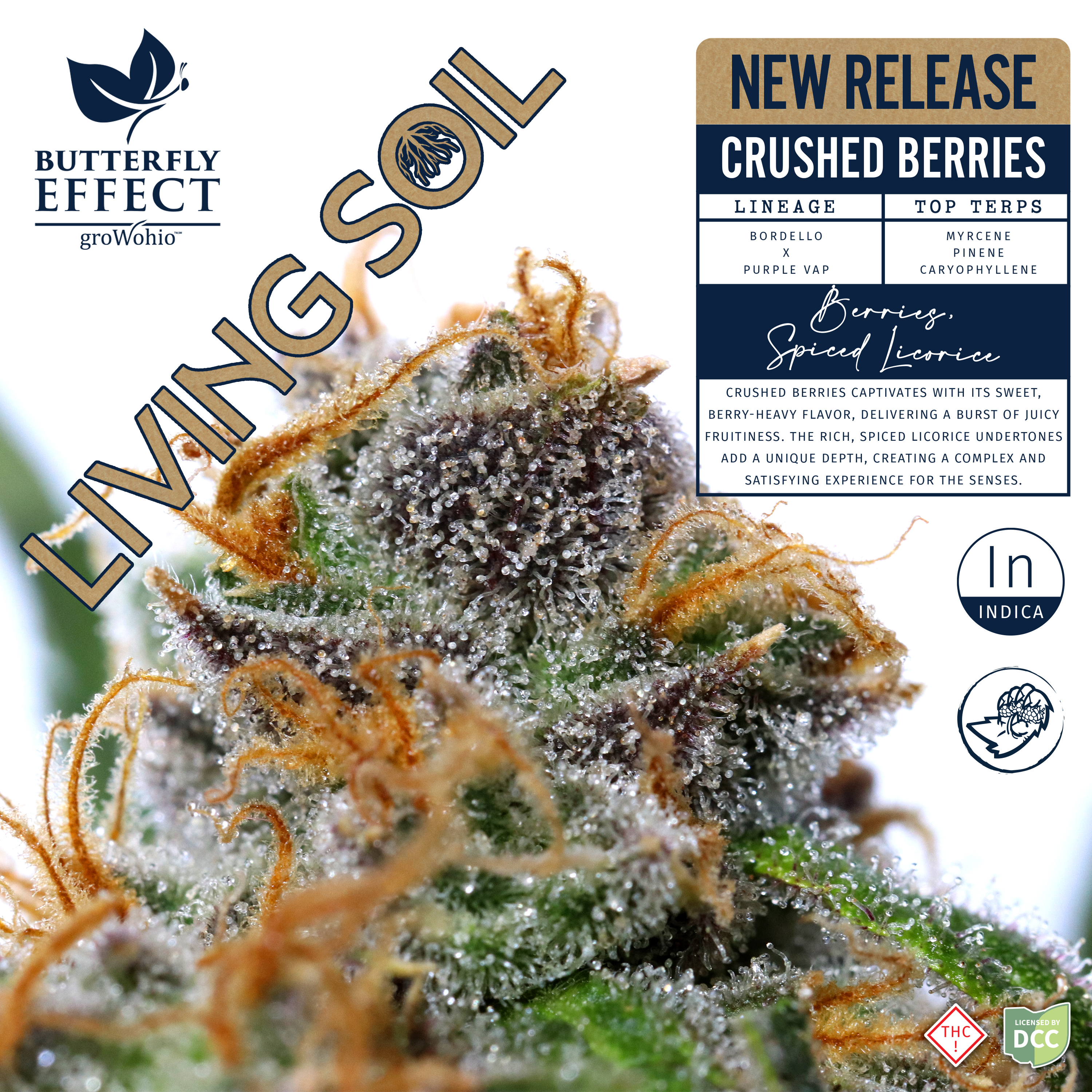 Grow Ohio | Crushed Berries "Living Soil" (Buds) | 2.83g | Indica