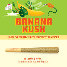 Banana Kush | 1g