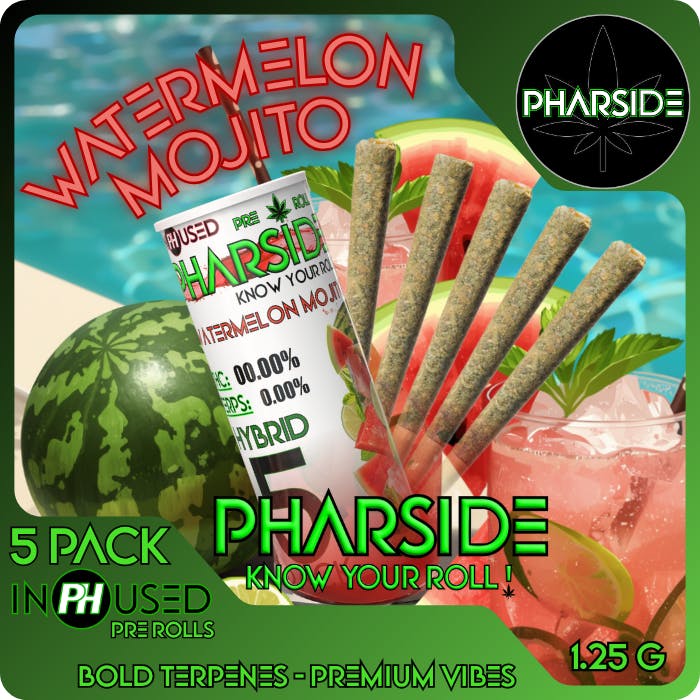 Watermelon Mojito