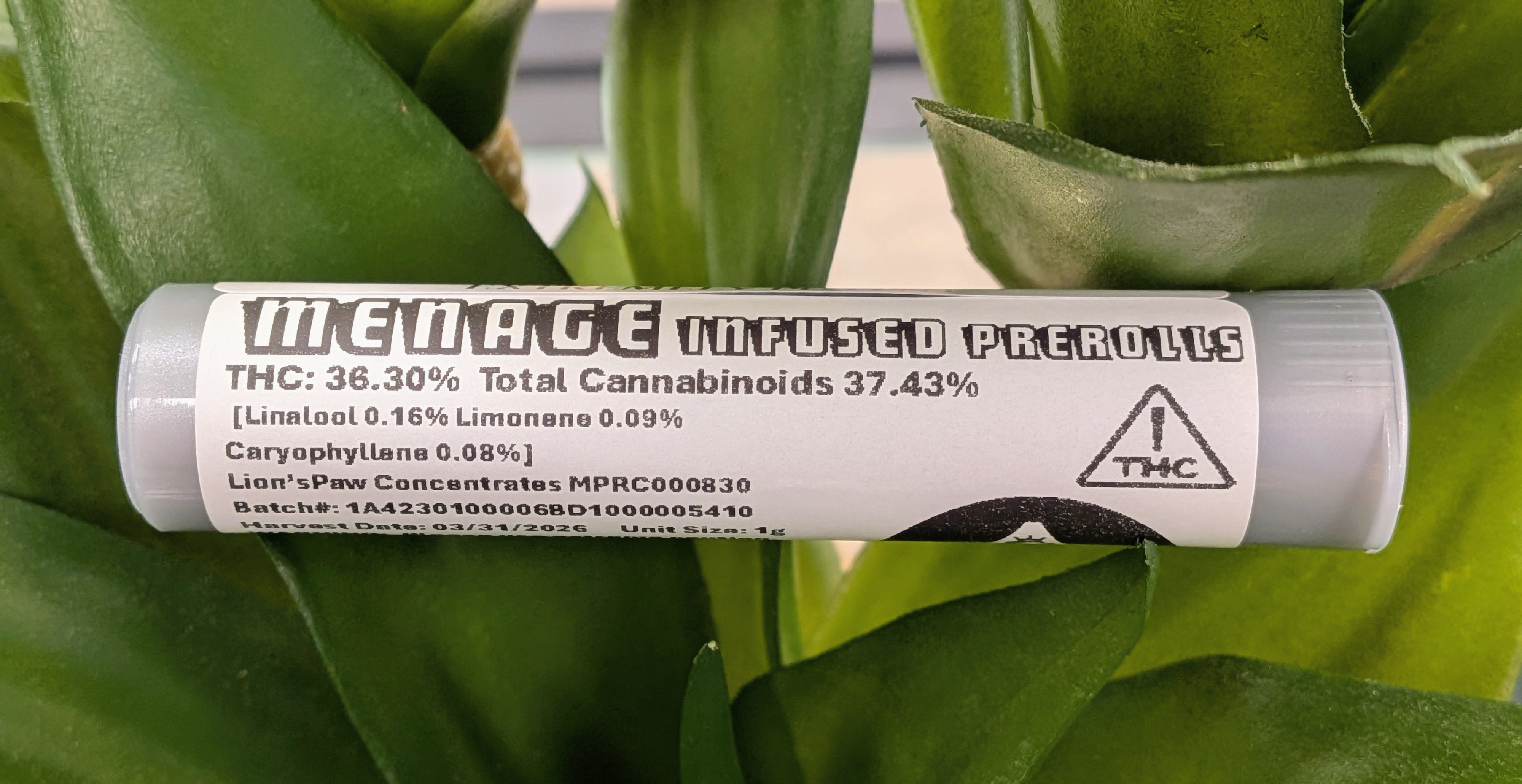 1g | Menage | Infused