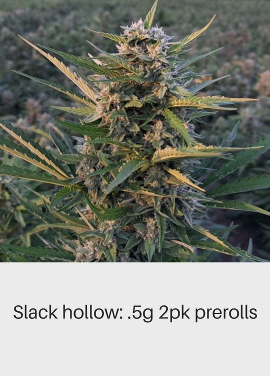 2pk Prerolls Blue Dream