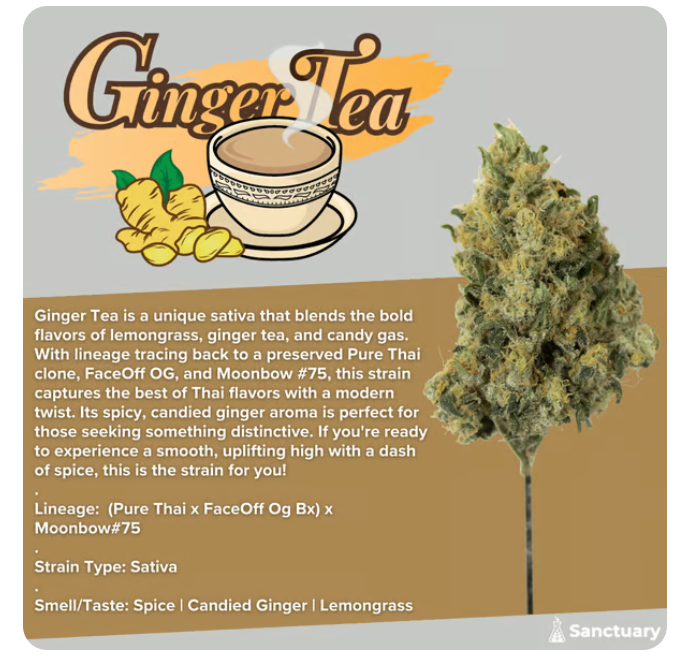 Sanctuary | Ginger Tea | (TAX INCLUDED)