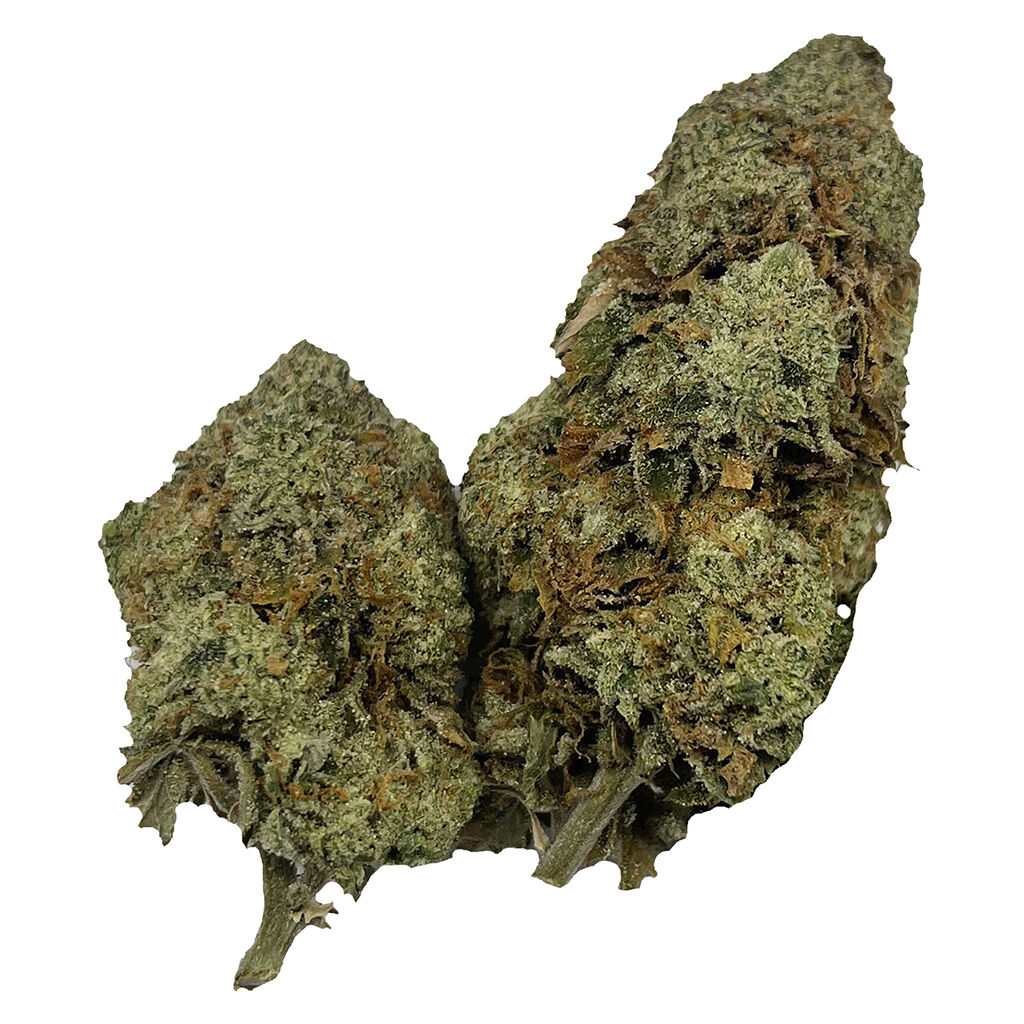 Puffer's Paradise - Honah Lee Haze - 7g