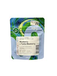 MFNY Blueberry x Turbo Blueberry Live Resin Gummies 10pk