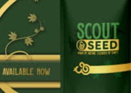Scout & Seed: Prepacked Flower (Cap Junky)