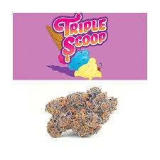 Joint | Triple Scoop