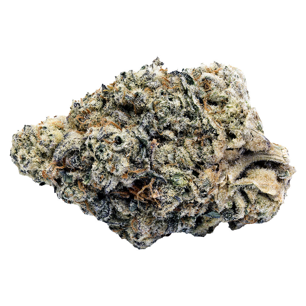 Tenzo - Jokerz Cndy - Indica