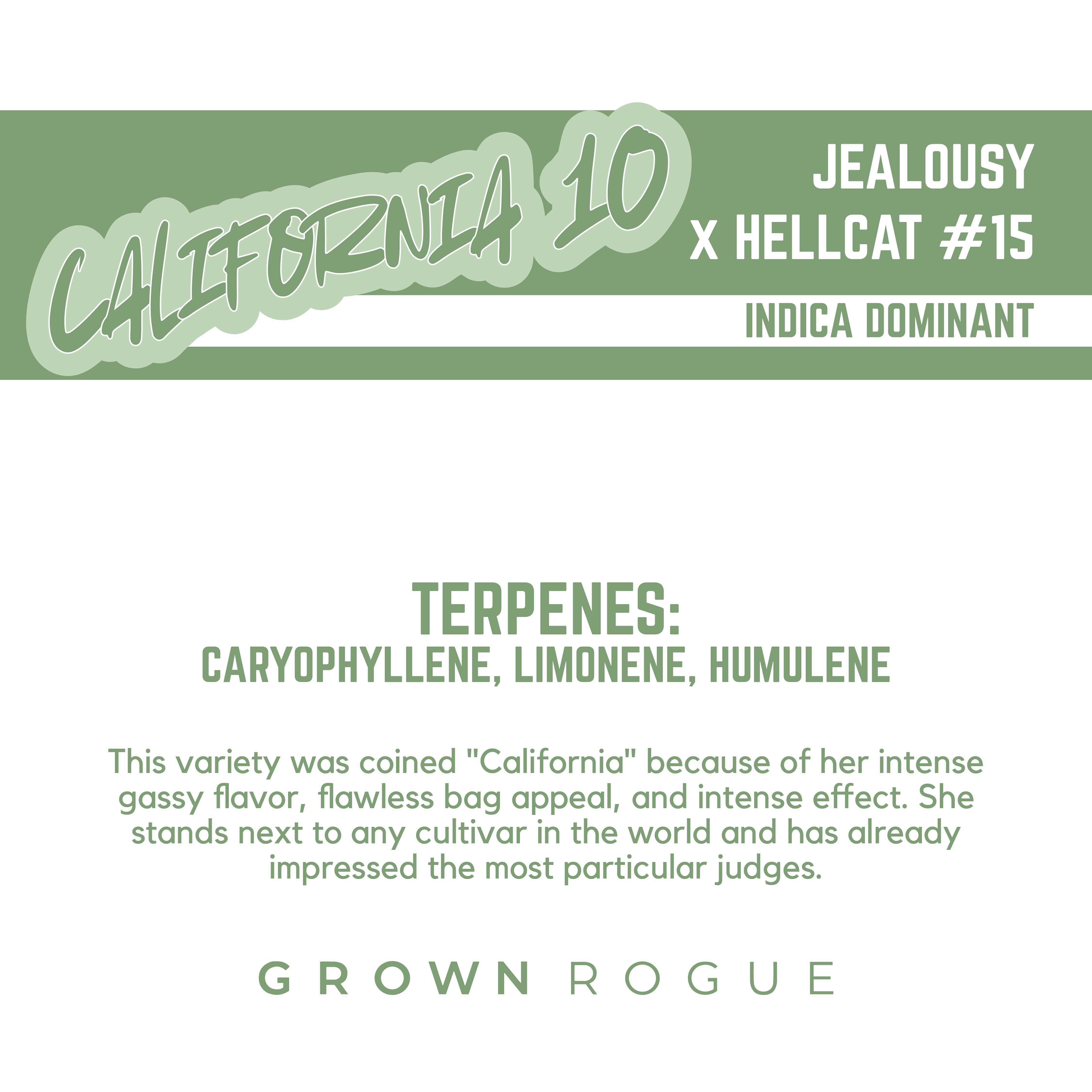 California #10