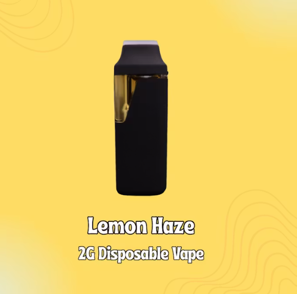 Shnicks Shnacks - Lemon Haze - 2G Disposable Vape